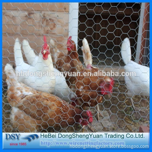 low carbon steel Chicken Coop Wire Netting/Chicken Wire Cheap Hexagonal Mesh/Chicken Coop Galvanized Wire Mesh